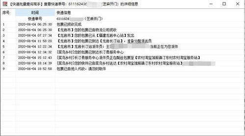 高效追踪，一目了然 电脑批量查询芝麻开门快递物流与票据信息全攻略