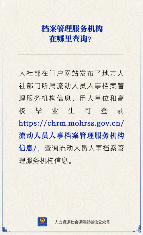 档案管理服务机构与票据信息咨询服务查询指南