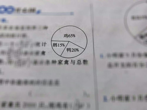 从统计图中解读票据信息咨询服务的核心信息